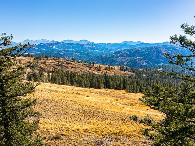 Land for sale in Republic, Ferry County