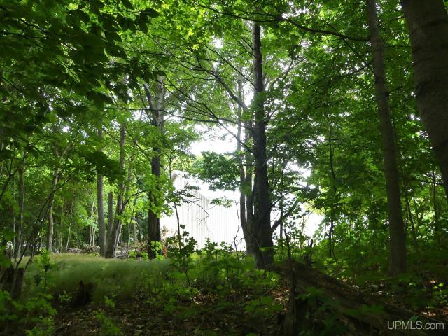 Land for sale in Grand Marais, Michigan
