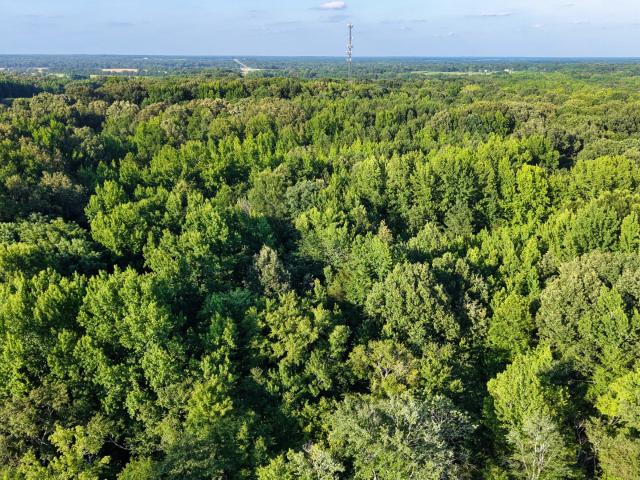 Land for sale in Tennessee
