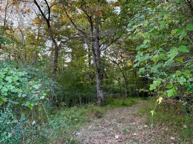 Land for sale in Beattyville, Kentucky