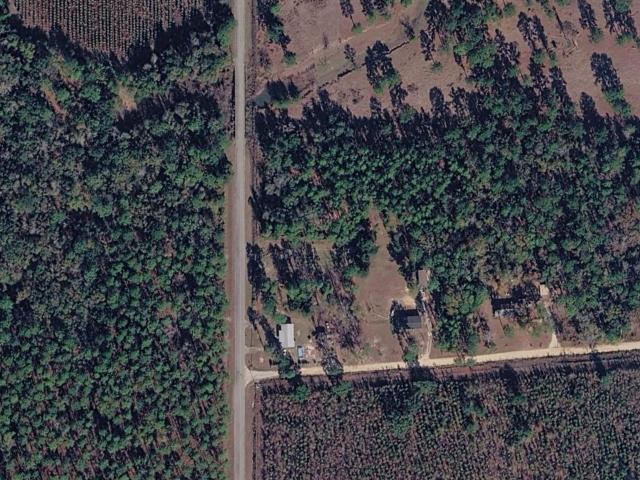 Land for sale in Climax, Georgia