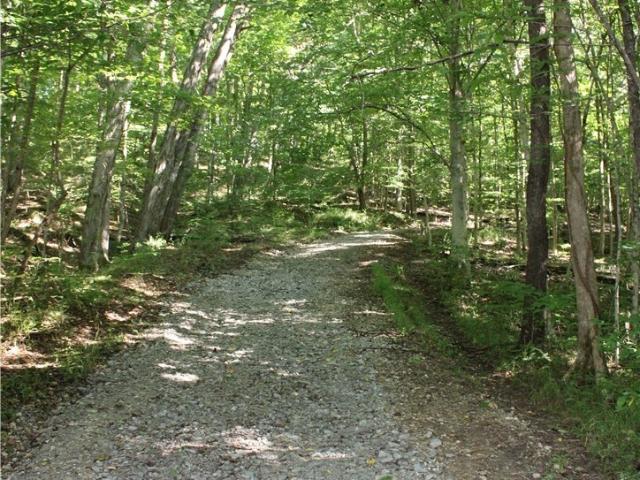 Land for sale in Campbellsburg, Indiana