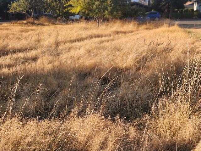 Land for sale in Port Angeles, Washington