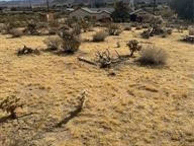 Land for sale in Joshua Tree, California