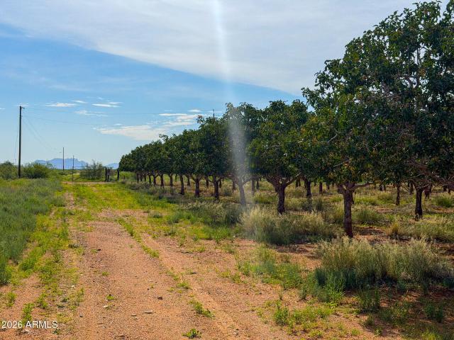 Land for sale in Cochise, Arizona