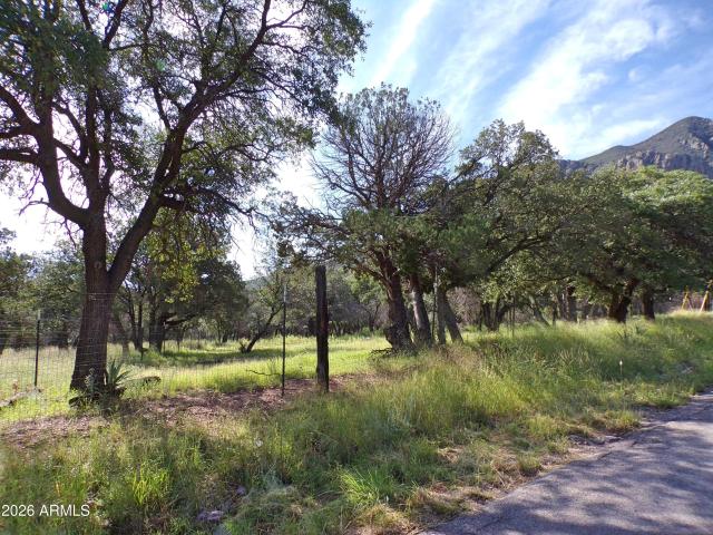 Land for sale in Bledsoe, Sierra Vista