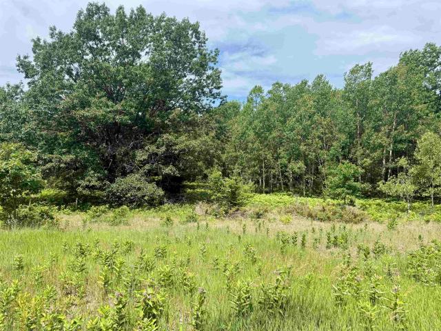 Land for sale in Michigan
