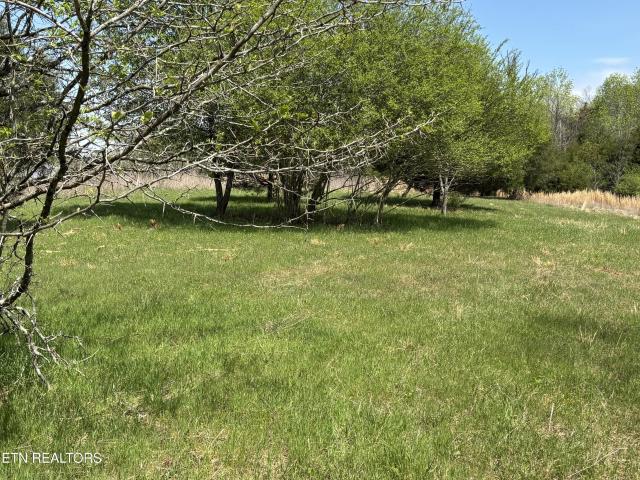 Land for sale in Tennessee