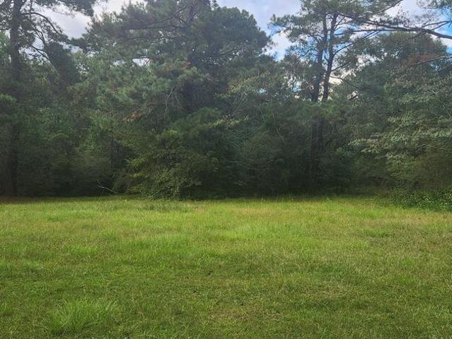 Land for sale in Dothan, Houston County