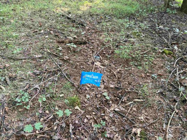 Land for sale in Dubois, Indiana