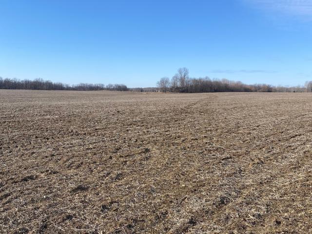 Land for sale in North Salem, Indiana