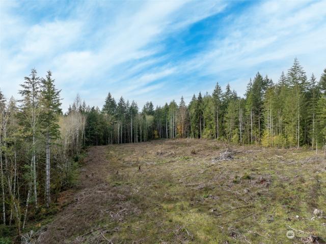 Land for sale in Shelton, Washington