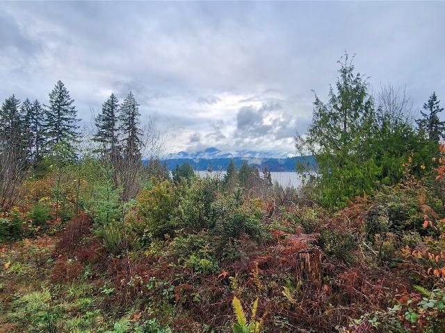 Land for sale in Belfair, Washington
