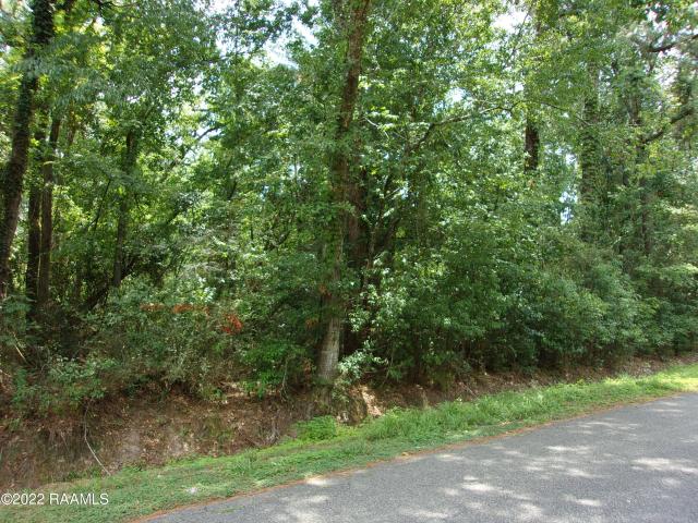 Land for sale in Abbeville, Louisiana