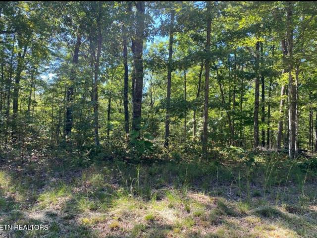 Land for sale in Tennessee