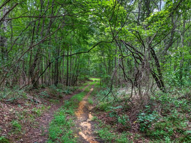 Commercial for sale in Tennessee