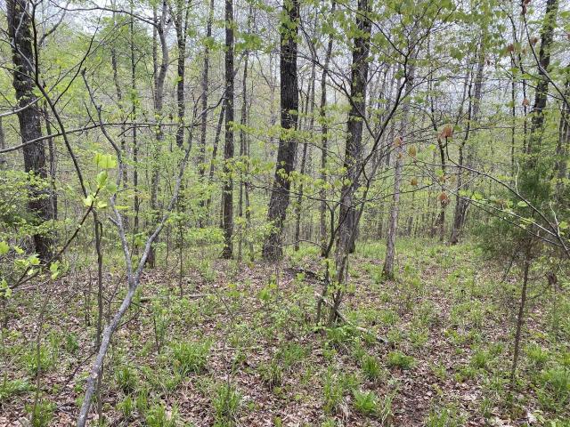 Land for sale in Tennessee