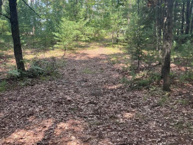 Land for sale in Alger, Michigan