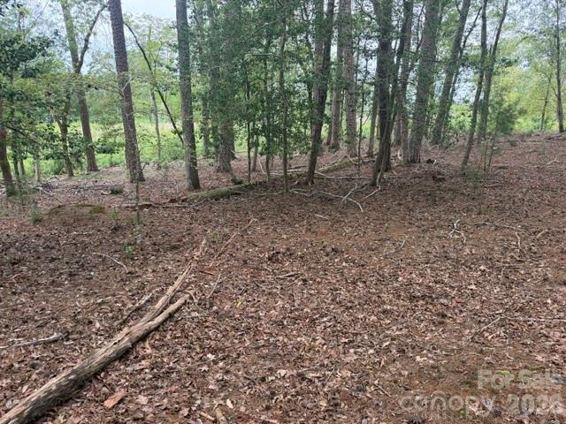 Land for sale in Mount Gilead, North Carolina