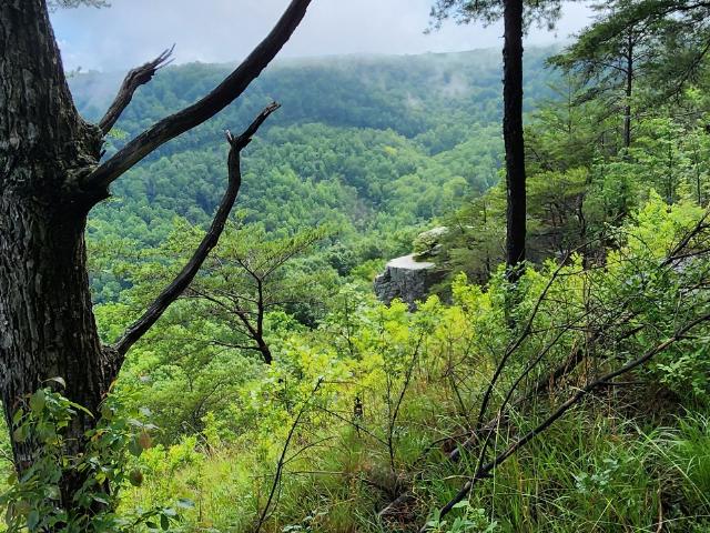 Land for sale in Tennessee