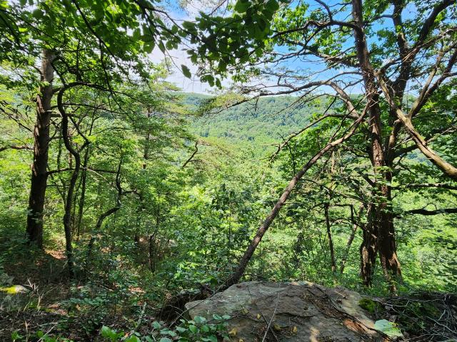 Land for sale in Monteagle, Middle Tennessee