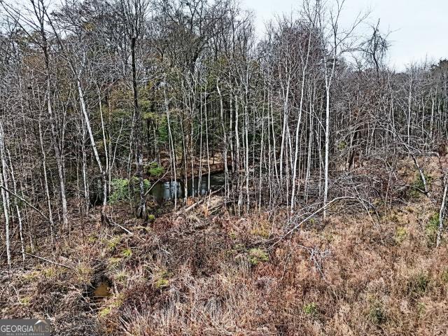 Land for sale in Georgia