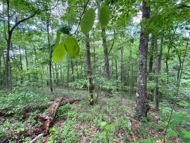 Land for sale in Tennessee