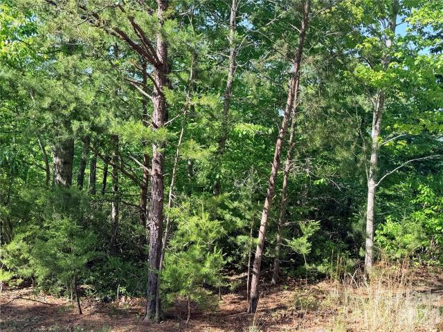 Land for sale in Rutherford, North Carolina