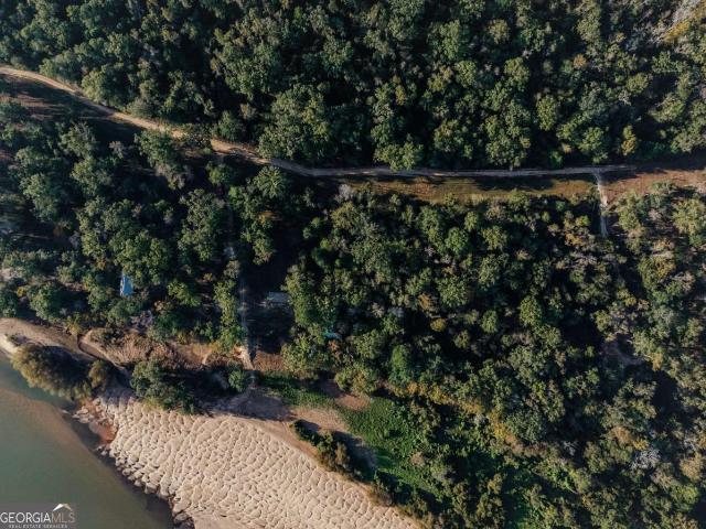 Land for sale in Surrency, Georgia