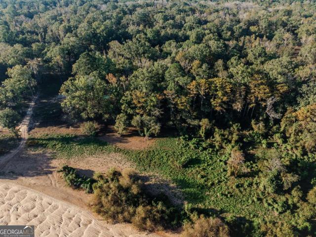 Land for sale in Surrency, Georgia