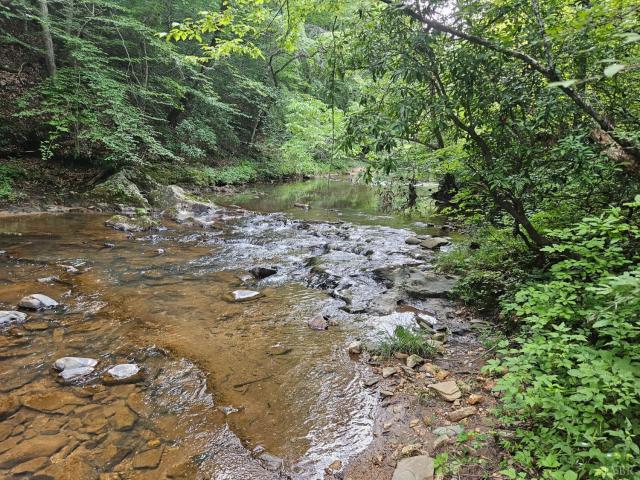 Land for sale in Virginia
