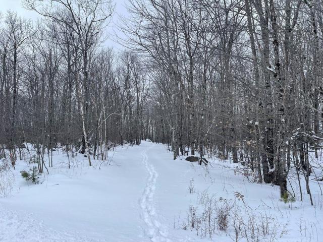 Land for sale in New Hampshire