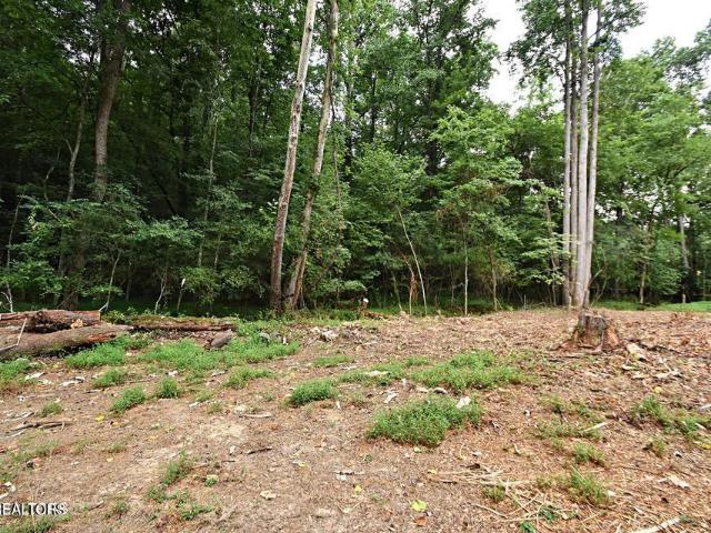 Land for sale in Tennessee