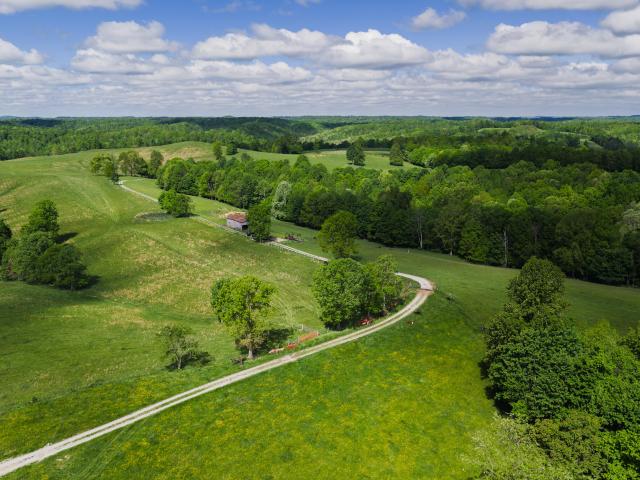 Farm for sale in Olive Hill, Kentucky