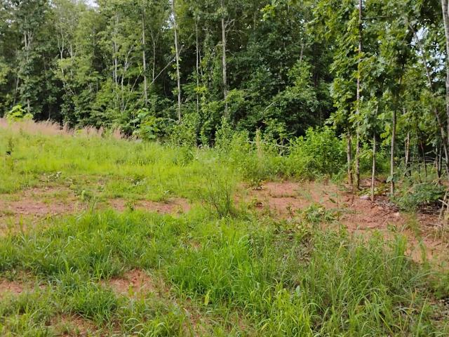 Land for sale in Virginia