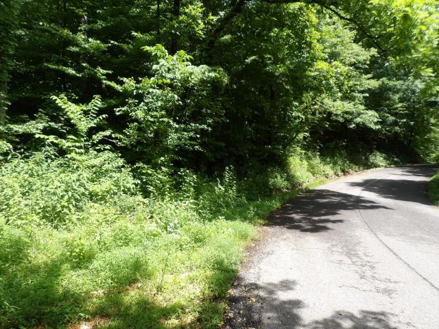 Land for sale in Tennessee