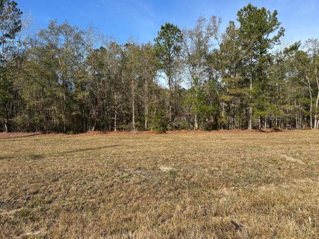 Land for sale in Bonneau, South Carolina