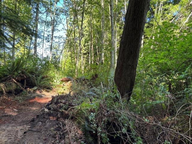 Land for sale in Baby Island Heights, Langley