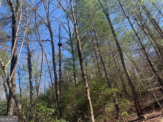 Land for sale in Gilmer, Georgia