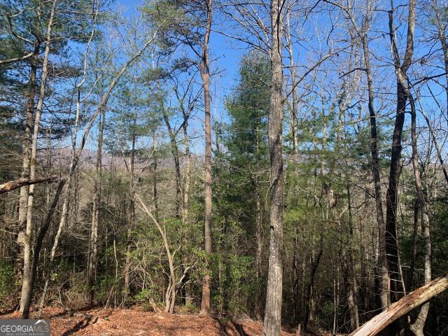 Land for sale in Gilmer, Georgia