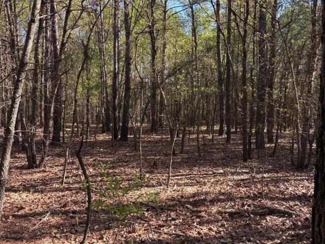 Land for sale in Darlington, Darlington County