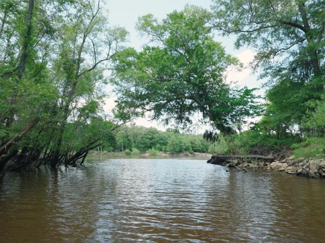 Land for sale in Jacksonville, Georgia