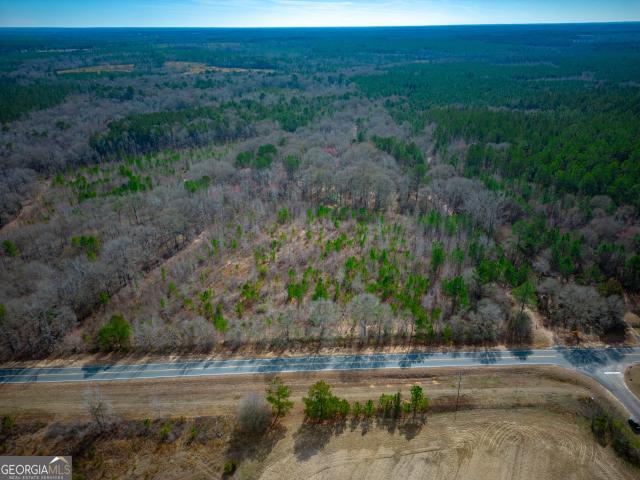 Land for sale in Cadwell, Georgia