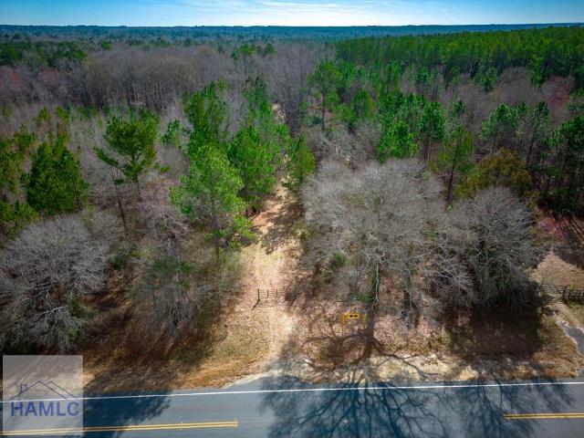 Land for sale in Cadwell, Georgia