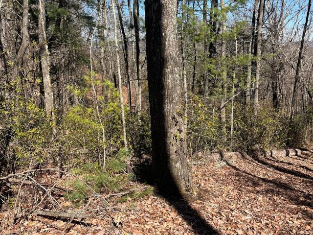Land for sale in Tiger, Rabun County