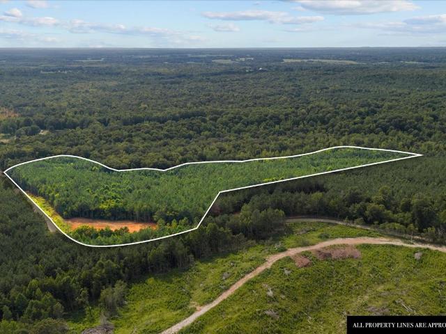 Land for sale in Tennessee