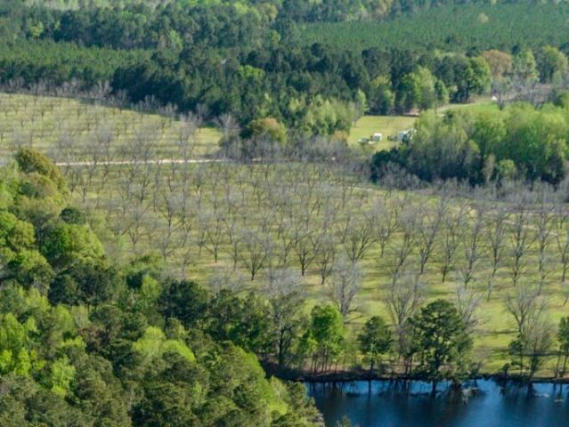 Land for sale in Candler County, Georgia