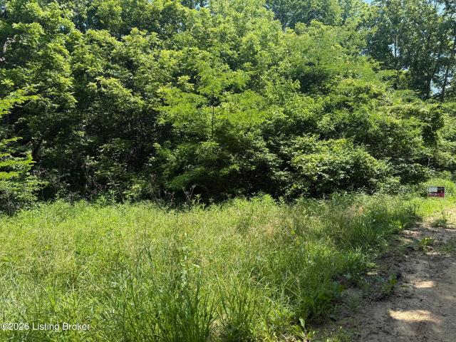 Land for sale in Mystic, Irvington