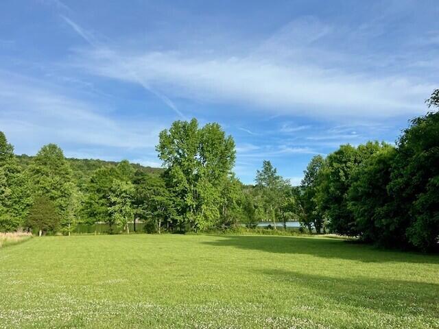 Land for sale in Jasper, East Tennessee