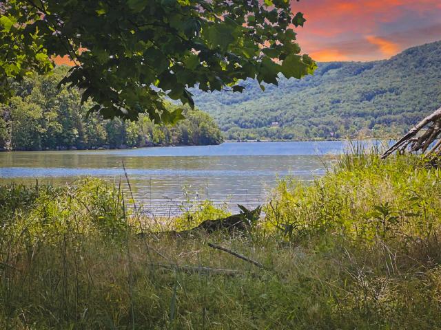 Land for sale in Jasper, East Tennessee